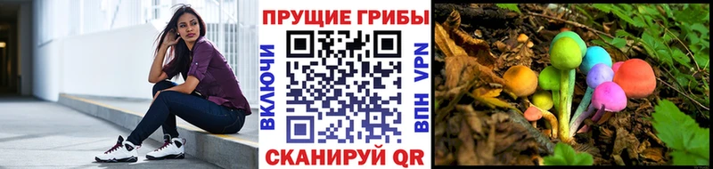 купить наркотик  Воткинск  Псилоцибиновые грибы прущие грибы 