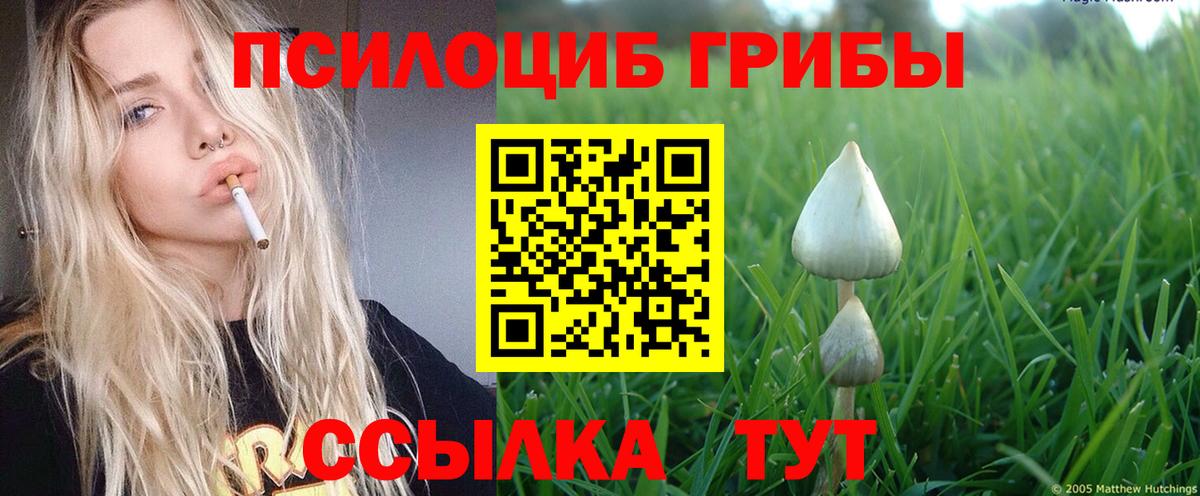 Галлюциногенные грибы ЛСД Воткинск