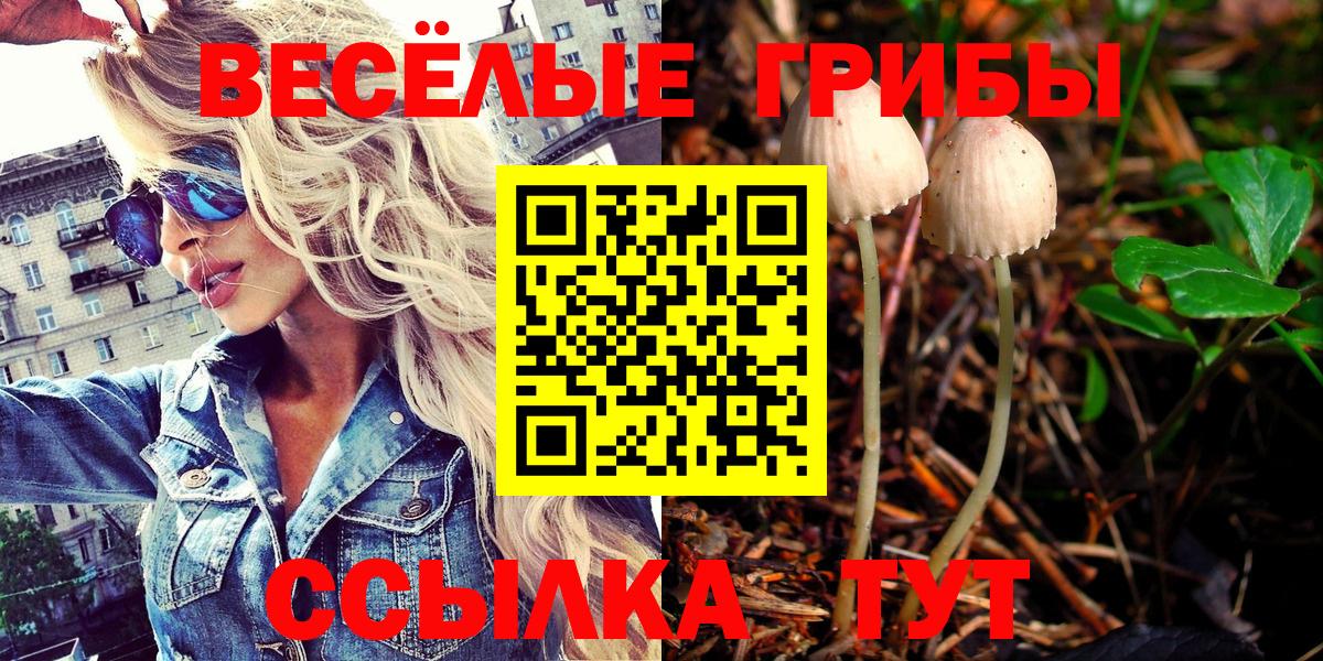 Галлюциногенные грибы ЛСД  Вход с VPN  Воткинск  Псилоцибиновые грибы Cubensis 