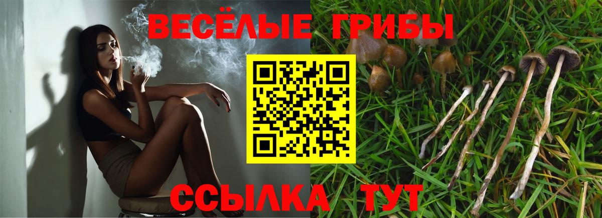 Галлюциногенные грибы Magic Shrooms Воткинск