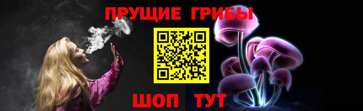 Псилоцибиновые грибы Psilocybe  Галлюциногенные грибы MAGIC MUSHROOMS  Воткинск 